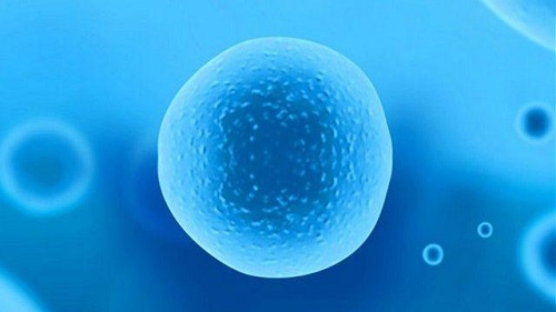 2025广州第三代试管助孕费用大概需要多少？2025费用清单一览！
